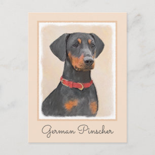 Cartão Postal Pintura Alemã Pinscher Pintura Original Arte Anima