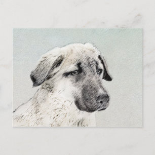 Cartão Postal Pintura Anatoliana Shepherd - Arte Original para C