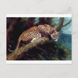 Cartão Postal pintura antiga de gato selvagem leopardo