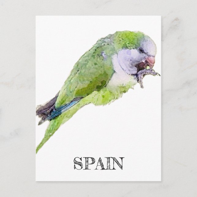Cartão Postal Pintura aquosa de papagaio verde (Frente)