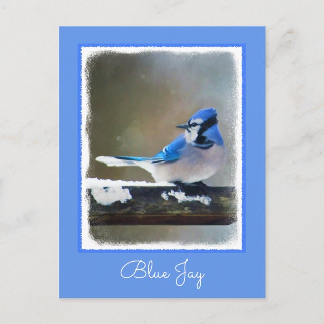 Cartão Postal Pintura Blue Jay - Arte Original para Pássaros (Frente)