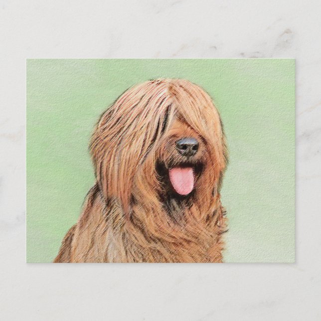 Cartão Postal Pintura Briard - Arte Cachorro Original (Frente)