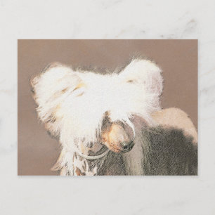 Cartão Postal Pintura Chinesa Sem Penteado Pintura Original De C
