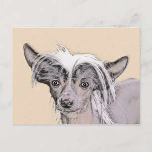 Cartão Postal Pintura Chinesa Sem Penteado Pintura Original De C