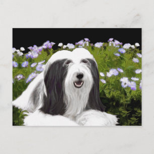 Cartão Postal Pintura Collie com Manteiga - Arte Cachorra Origin