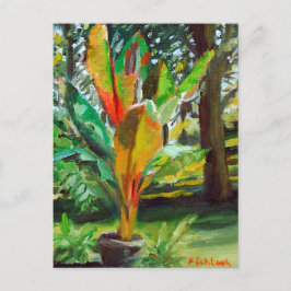 Cartão Postal Pintura Colorida com Vida Estática da Fábrica de B