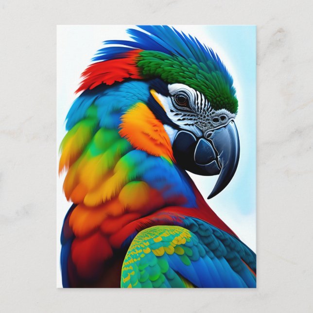 Cartão Postal Pintura Colorida de Pássaro de Macaw (Frente)