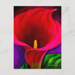 Cartão Postal Pintura com Flor Vermelho Cala Lily - Múltiplos