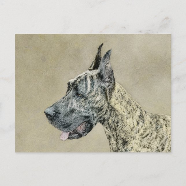 Cartão Postal Pintura com o Grande Dane (Brindle) - Arte Canina  (Frente)