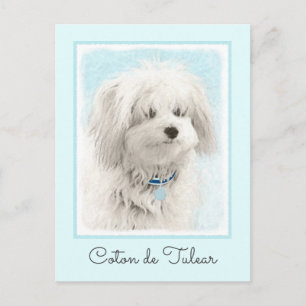 Cartão Postal Pintura de Algodão de Tulear - Arte de Cachorro Or