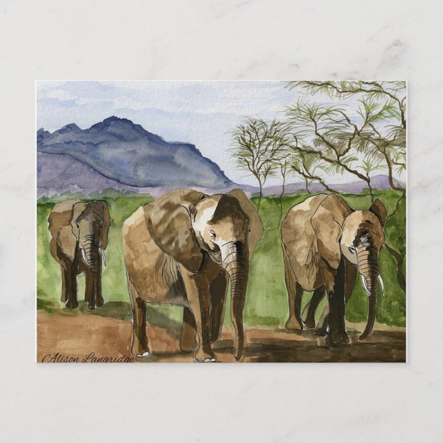 Cartão Postal Pintura de Aquarela de Elefantes Africanos (Frente)