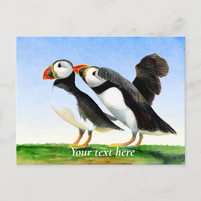 Cartão Postal Pintura de Aquarela de Pássaro Puffin (Frente)