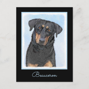 Cartão Postal Pintura de Beauceron - Arte de Cachorro Original B