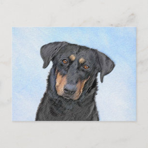 Cartão Postal Pintura de Beauceron - Arte Original de Cachorro F