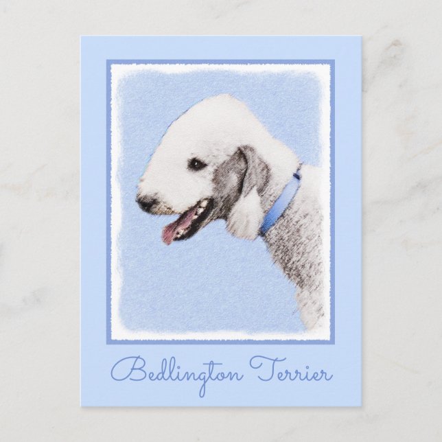 Cartão Postal Pintura de Bedlington Terrier - Arte de Cachorro O (Frente)