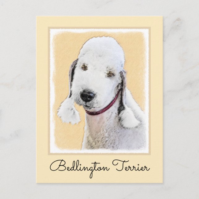 Cartão Postal Pintura de Bedlington Terrier - Arte de Cachorro O (Frente)
