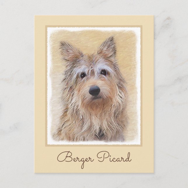 Cartão Postal Pintura de Berger Picard - Arte de Cachorro Origin (Frente)