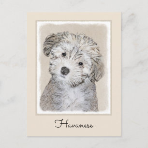 Cartão Postal Pintura De Cachorro Havanês - Arte Cachorra Origi