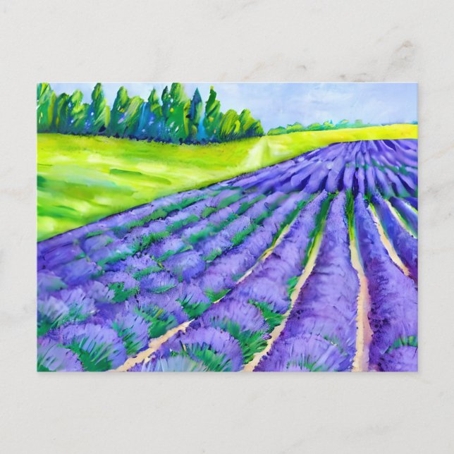 Cartão Postal pintura de campos de lavanda (Frente)