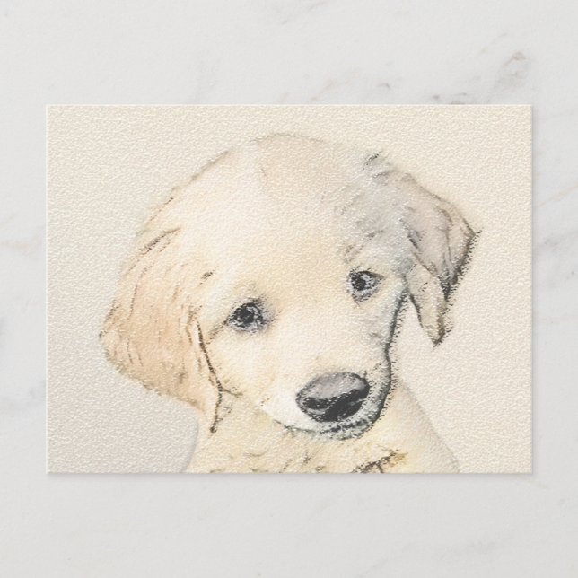 Cartão Postal Pintura De Cãozinho Para Retriever ouro - Arte De  (Frente)