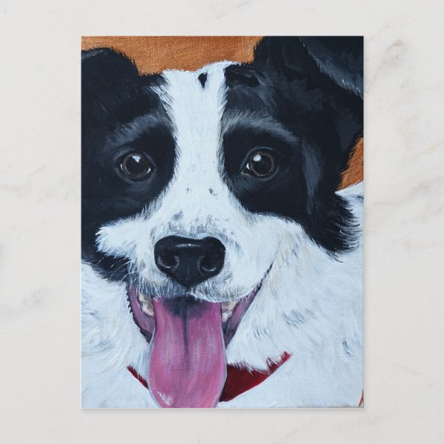 Cartão Postal Pintura de Collie Mix de Borda (Frente)