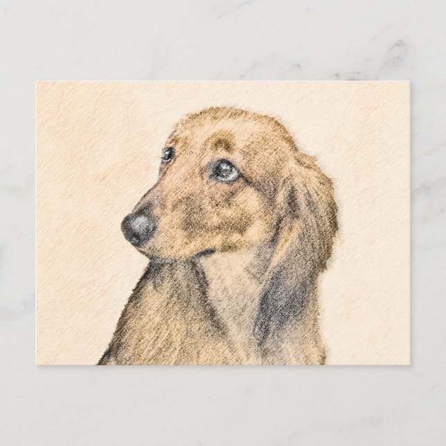 Cartão Postal Pintura de Dachshund (Longhaired) - Arte de Cão Or (Frente)