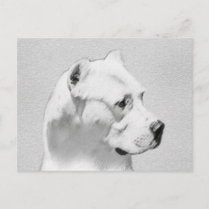 Cartão Postal Pintura de Dogo Argentino - Arte de Cachorro Origi