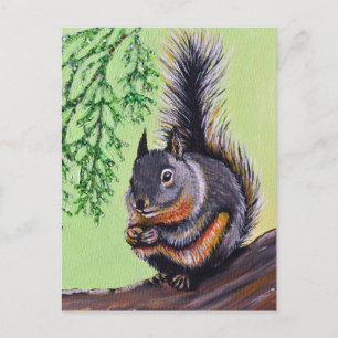 Cartão Postal Pintura de Esquilo de Douglas
