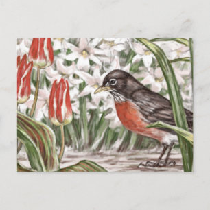 Cartão Postal Pintura de Flores de Primavera Robin e Tulipas Ver