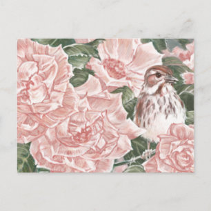 Cartão Postal Pintura de Flores e Rosas Rosa