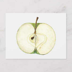 Cartão Postal Pintura de Fruta de Maçã Verde Antiga