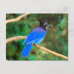 Cartão Postal Pintura de Gaio-de-steller - Arte Original de Páss