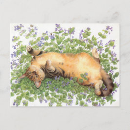 CARTÃO POSTAL PINTURA DE GATO