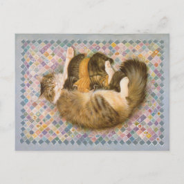 CARTÃO POSTAL PINTURA DE GATO