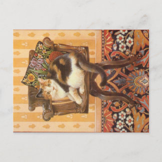 CARTÃO POSTAL PINTURA DE GATO