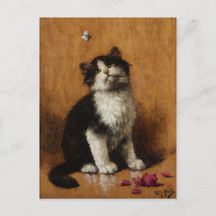 Cartão Postal Pintura de Gatos Cons