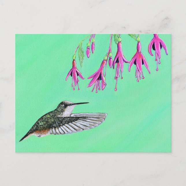 Cartão Postal Pintura de Hummingbird e Fuchsia (Frente)