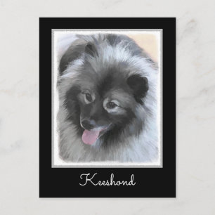 Cartão Postal Pintura de Keeshond Bailey - Arte de Cachorro Orig