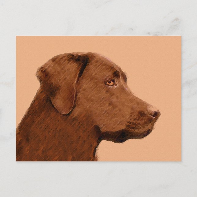 Cartão Postal Pintura de Labrador Retriever (Chocolate) - Arte C (Frente)