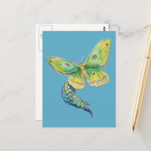 Cartão Postal Pintura de Mariposa Luna