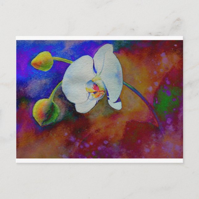 Cartão Postal Pintura de orquídea floral branca elegante (Frente)