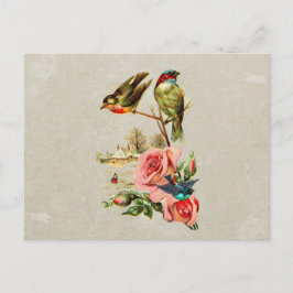 Cartão Postal Pintura de Paisagem de Aves e Rosas Justas Vintage