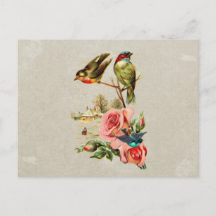 Cartão Postal Pintura de Paisagem de Aves e Rosas Justas Vintage