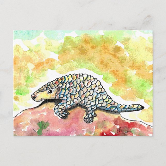 Cartão Postal Pintura de Pangolin Cujo Canto (Frente)