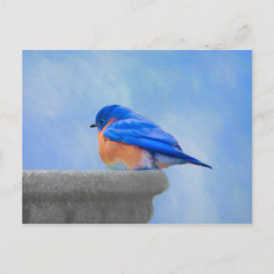 Cartão Postal Pintura de Pássaro Azul - Arte de Pássaro Original