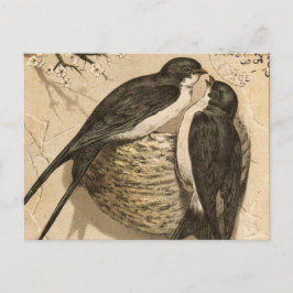 Cartão Postal Pintura de Pássaros Brancos Brancos Negros Vintage