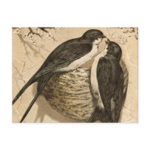 Pintura de Pássaros Brancos Brancos Negros Vintage