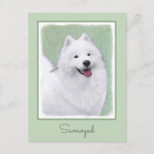 Cartão Postal Pintura de Samoyed - Arte Original de Cachorro Fof