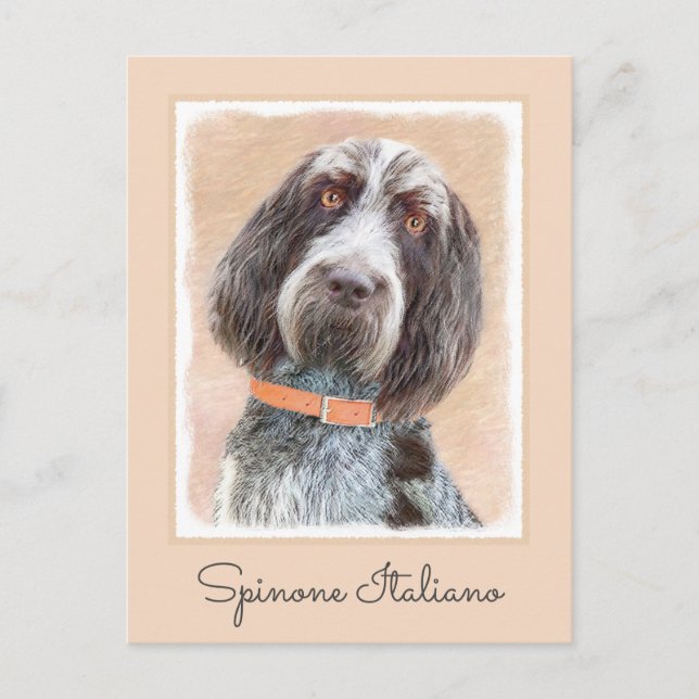 Cartão Postal Pintura de Spinone Italiano - Arte de Cachorro Ori (Frente)