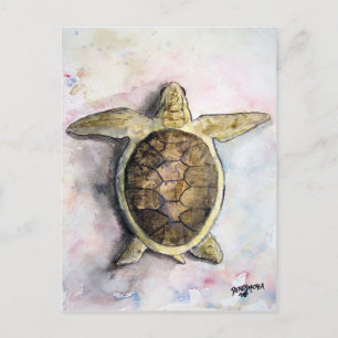 Cartão Postal pintura de tartaruga-do-mar arte de animais selvag